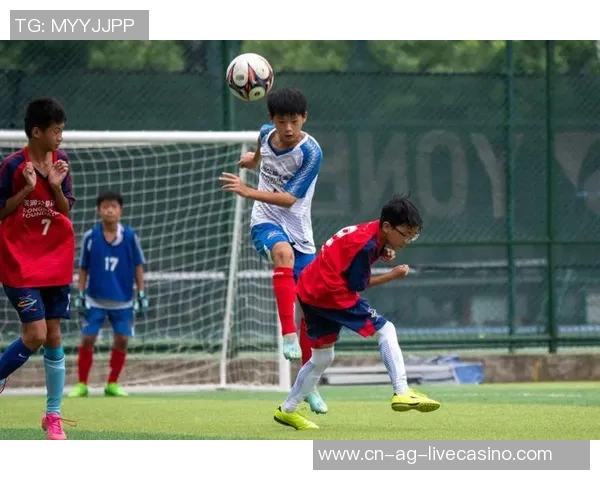 在绿茵场上追逐梦想爱上足球的激情与坚持 在绿茵场上追逐梦想爱上足球的激情与坚持