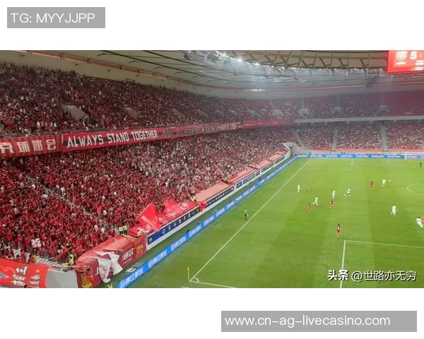 中国专业足球场建设现状与未来发展趋势分析