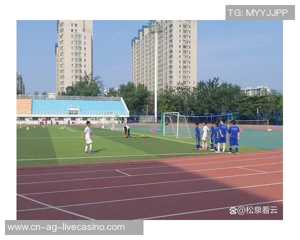 足球的精神：团结拼搏与无畏追梦的永恒追求与传承