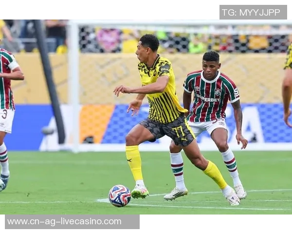 印尼足球的崛起与挑战探索东南亚足球发展的新机遇与未来